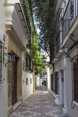 Calles del centro antiguo de Marbella adornada con platas y flores