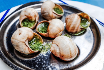 snails with garlic butter as gourmet food