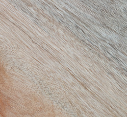 Wooden texture to serve as background