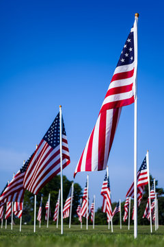 American Flags Memorial in a Field