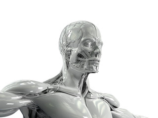 Obraz premium Human anatomy showing low three quarter view of face and torso in porcelain finish on plain white background.