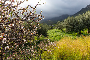 Trekking in the Highlands of Sicily