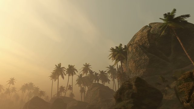 Wonderful sunrise above tropical palm jungle with sun rays and thick morning fog