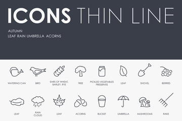 autumn Thin Line Icons