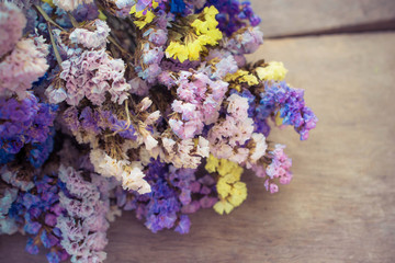 Fototapeta premium dry flower