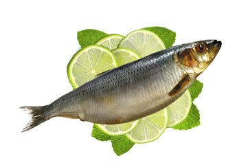 Smoked Mackarel on lime slices and mint herb isolated on white