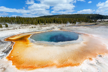 Upper Geyser Basin, Yellowstone National Park, Wyoming, United States of America