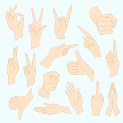 Vector illustrations set of universal gestures of hands. Hands in different interpretations.