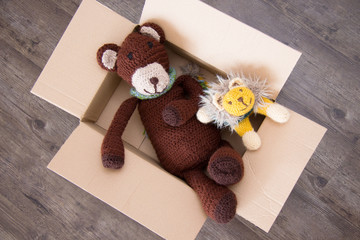 Der Chill-Bär und sein Freund Löwe