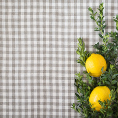 Lemons and branches of buxus on the background of checkered textile