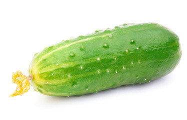 Cucumber isolated on the white background with clipping path