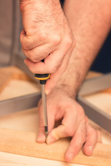Male carpenter working on a DIY project, holding screwdriver in his hands