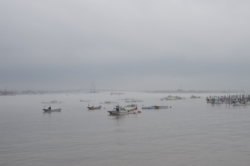 沿岸部・海苔の漁場