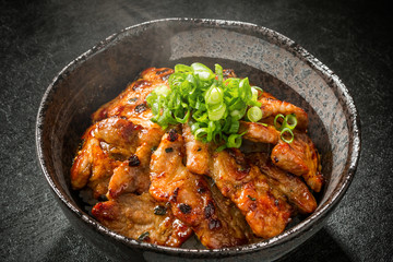 ブランド豚肉で作る豚丼 Delicious food of pork bowl Japan