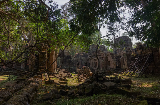 Tree roots growing through the ruins of Ta Prohm Temple at Angkor Wat in Cambodia