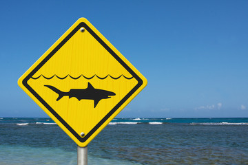 Yellow Shark Warning Sign