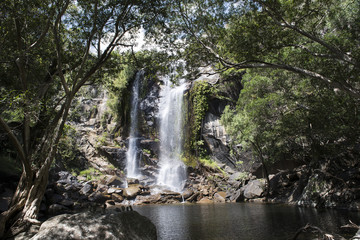 Cascada grande con abundante agua en el medio de una foresta. Cooktown, Queensland, Australia