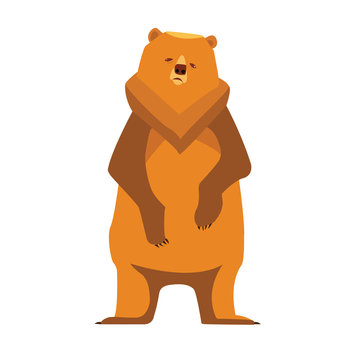 Sad wild brown bear in vector 