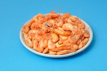 prawn Shrimp