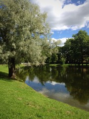 Beautiful landscape with view on like and forest of the summer.