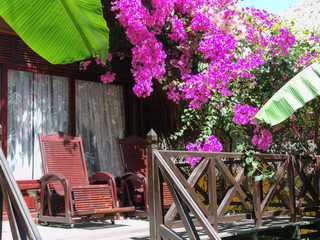 Fototapeta na wymiar Beautiful veranda with seating house buried in flowers and greenery
