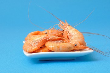prawn Shrimp