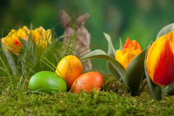 Ostereier und Osterhase im Grünen mit Tulpen