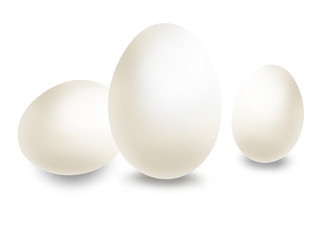 white eggs