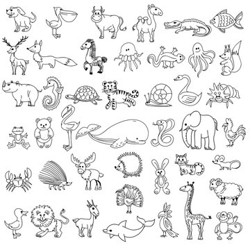 Doodle animals childrens drawing. Animal doodle drawing,  character animal wildlife, animal pelican cow camel and crocodile, fish and elk, fox and zebra, jellyfish and lizard, vector illustration
