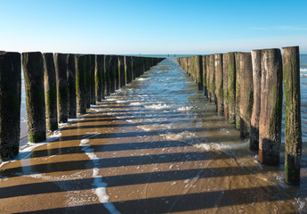 Fototapeta premium Rows of North Sea breakwaters at low tide