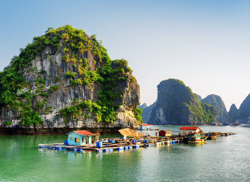 Floating fishing village in the Ha Long Bay. Vietnam