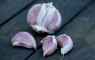 Garlic