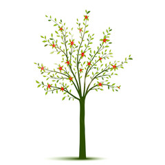 Spring tree with leaves and flowers