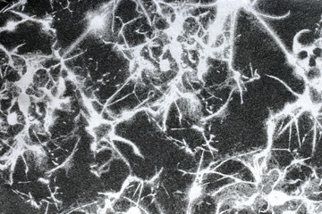 Abstract texture black and white on fabric background