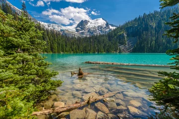 Photo sur Plexiglas Lac / étang Majestic mountain lake in Canada. Upper Joffre Lake Trail View.