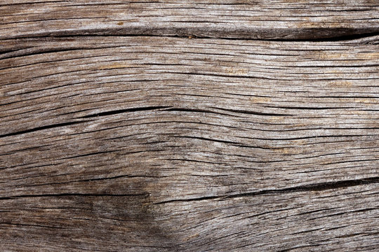 Natural wooden texture with cracks and knot for background