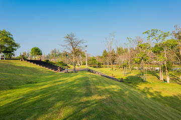 Green field in the garden