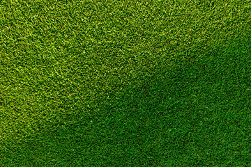 Obraz premium Green grass background texture.