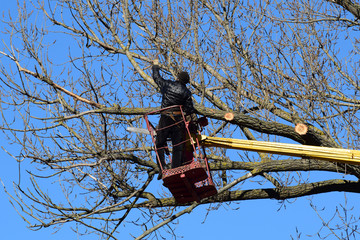 Pruning trees using a lift-arm
