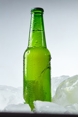 beer bottle in the ice