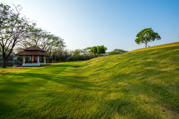 Obraz premium Green field in the garden