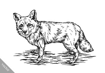 engrave ink draw fox illustration