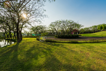 Green field in the garden