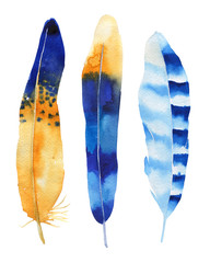 Hand drawn watercolor feather set. Boho style. illustration isol