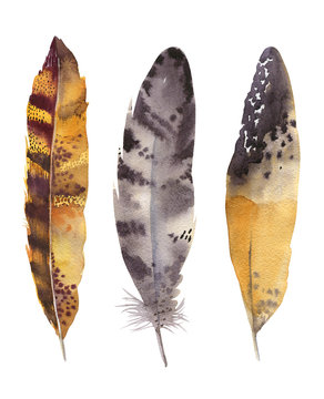 Hand drawn watercolor feather set. Boho style. illustration isol