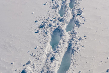 Footsteps in snow