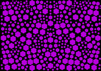 delicate cherry blossoms on a black background