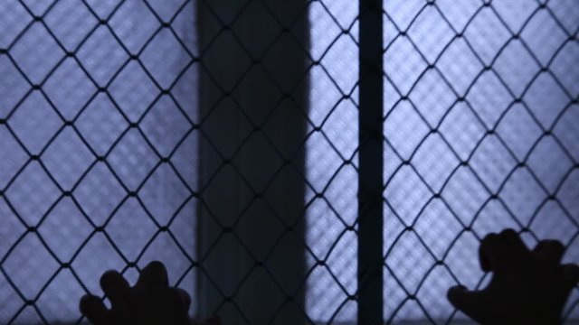 Helpless Child Shaking A Metal Fence Trying To Escape. Silhouette of children hands on the window fence. Refugees or abandoned child. Mental Institution. Family violence. Fingers on the fence