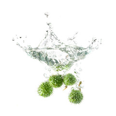 Chestnut splash on water, isolated on white background.