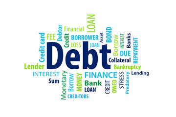 Debt